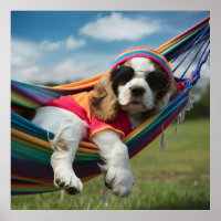 Cocker Spaniel Sleeping on a Hammock