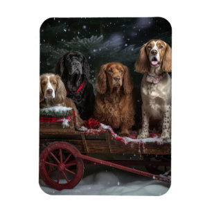 Cocker Spaniel Snowy Sleigh Christmas Decor   Magnet