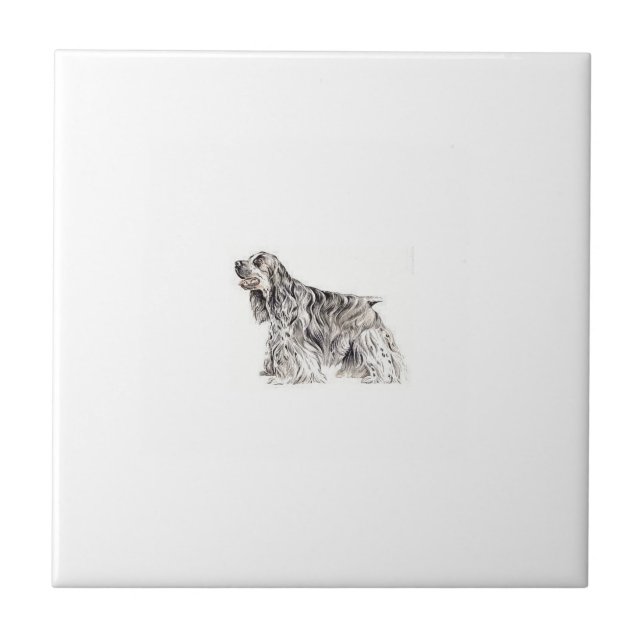 Cocker Spaniel Tile (Front)