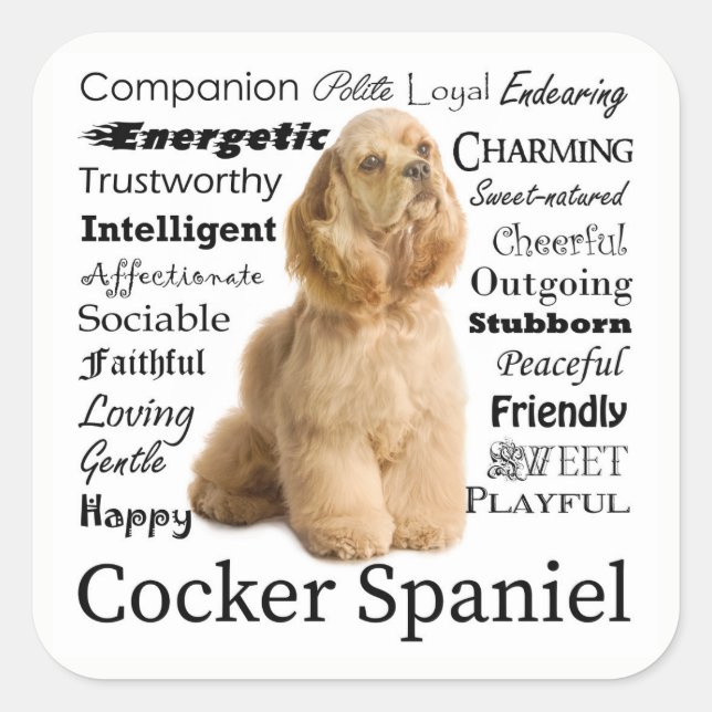 Cocker Spaniel Traits Stickers (Front)
