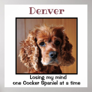 Cocker Spaniel with quote Custom Wall Art
