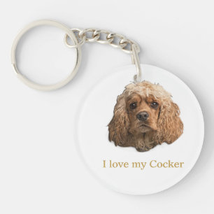 cocker Spaniels