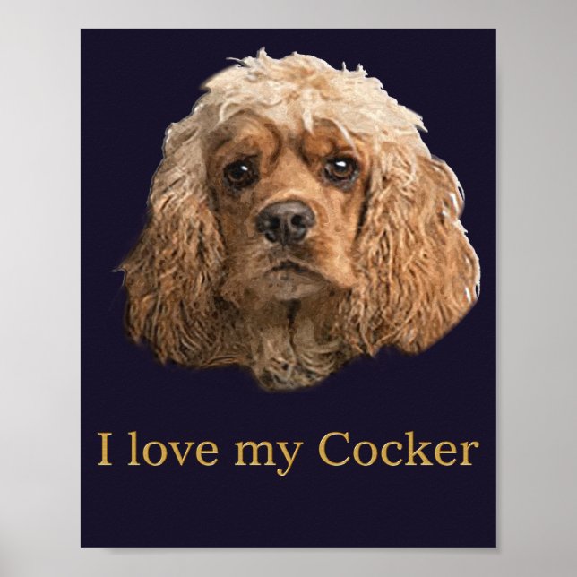 cocker Spaniels Poster (Front)