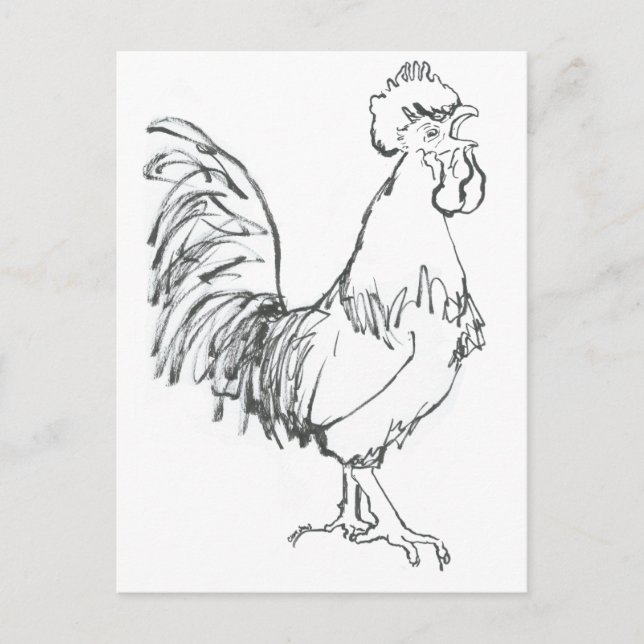 Cockerel doodle postcard (Front)