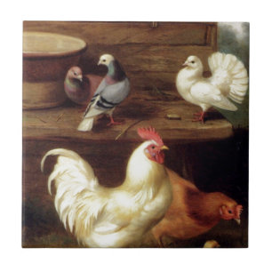 Cockerel Hen And Chicks With Pigeons Farm Animals Tile