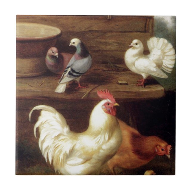 Cockerel Hen And Chicks With Pigeons Farm Animals Tile (Front)