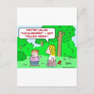 cockleburrs velcro seeds postcard