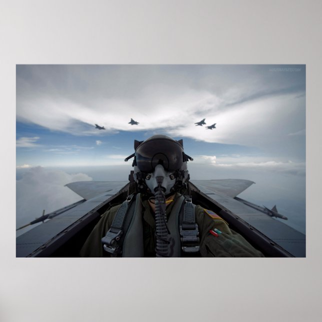 Cockpit Selfie Poster (Front)