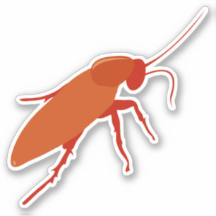 Cockroach