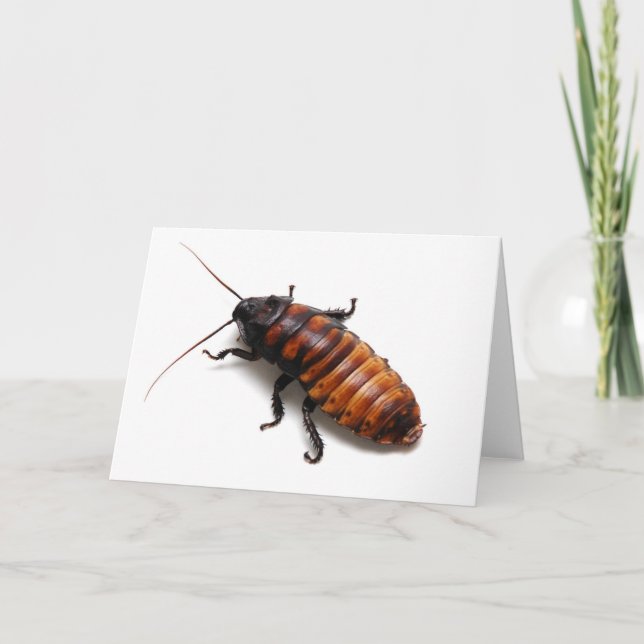 Cockroach Card (Front)