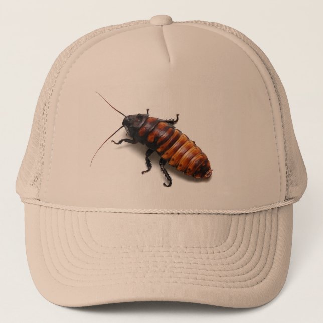 Cockroach Hat (Front)