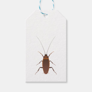 Cockroach Insect Gift Tags