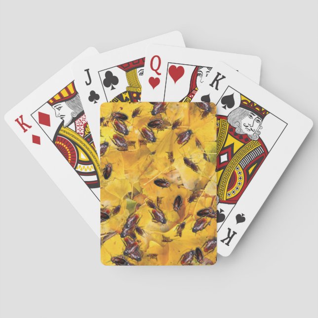 Cockroaches Playing Cards (Back)