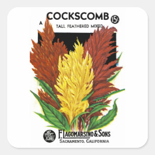 Cockscomb Square Sticker