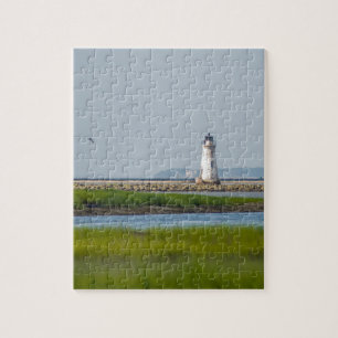 cockspur island  lighthouse savannah georgia jigsaw puzzle