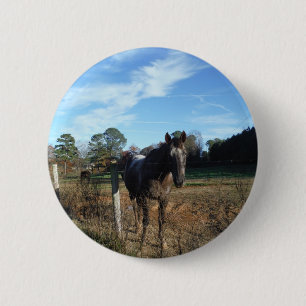 Coco and Cream brown horse 2 Inch Round Button