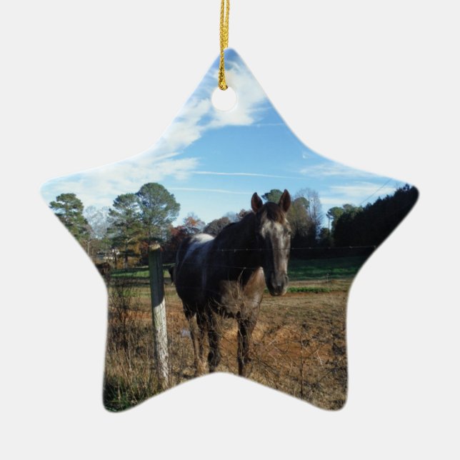 Coco and Cream brown horse Ceramic Ornament (Front)