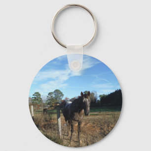 Coco and Cream brown horse Keychain