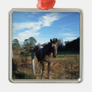 Coco and Cream brown horse Metal Ornament