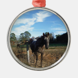 Coco and Cream brown horse Metal Ornament
