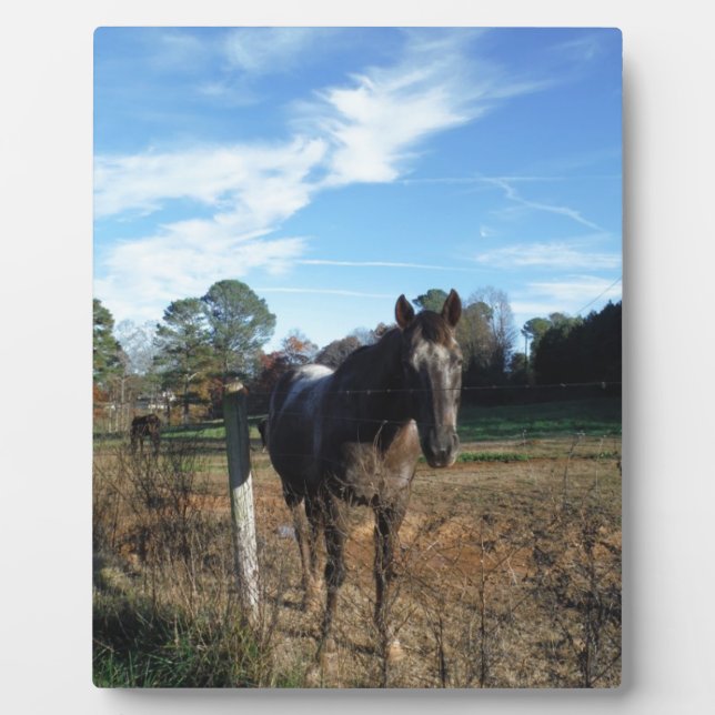 Coco and Cream brown horse Plaque (Front)