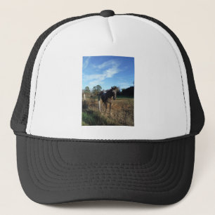 Coco and Cream brown horse Trucker Hat