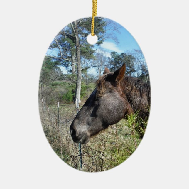 Coco and Cream Coloured Horse Ceramic Ornament (Front)