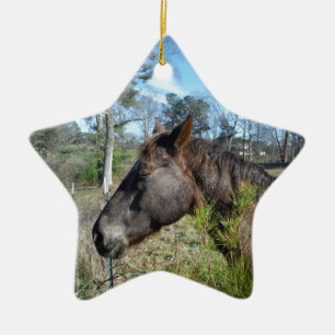 Coco and Cream Coloured Horse Ceramic Ornament