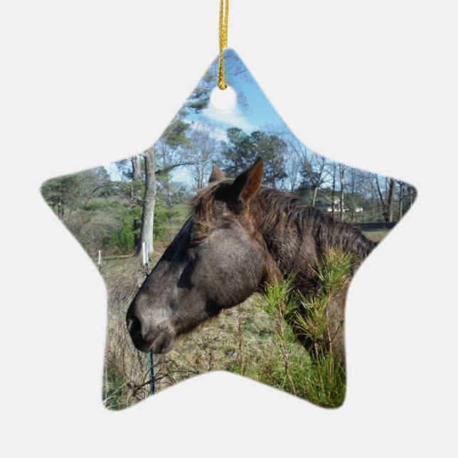 Coco and Cream Coloured Horse Ceramic Ornament (Front)