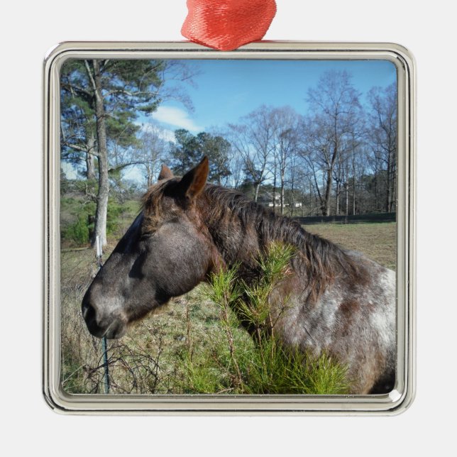 Coco and Cream Coloured Horse Metal Ornament (Front)