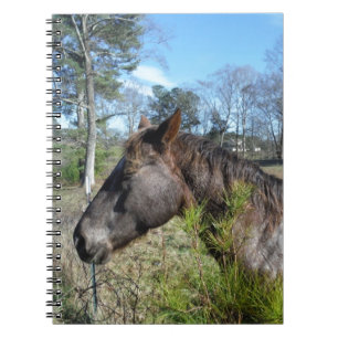 Coco and Cream Coloured Horse Notebook