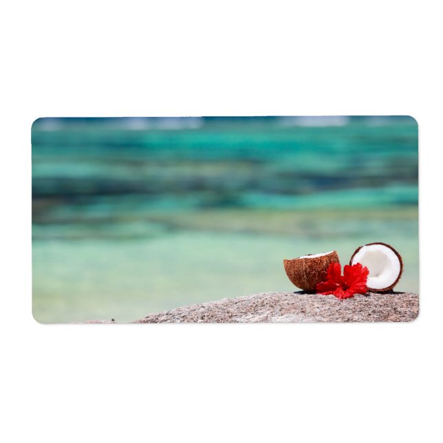 Coco avec fleur tropicale sur la côte exotique (Devant)