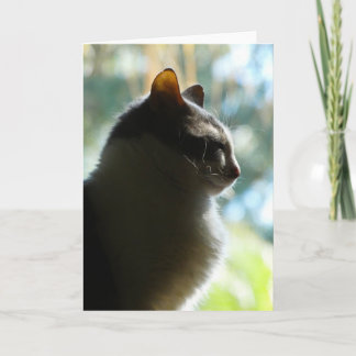 "Coco in the Window." Greeting Card