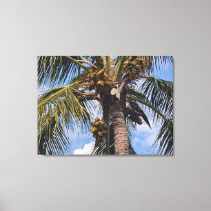 COCO PALM CANVAS PRINT