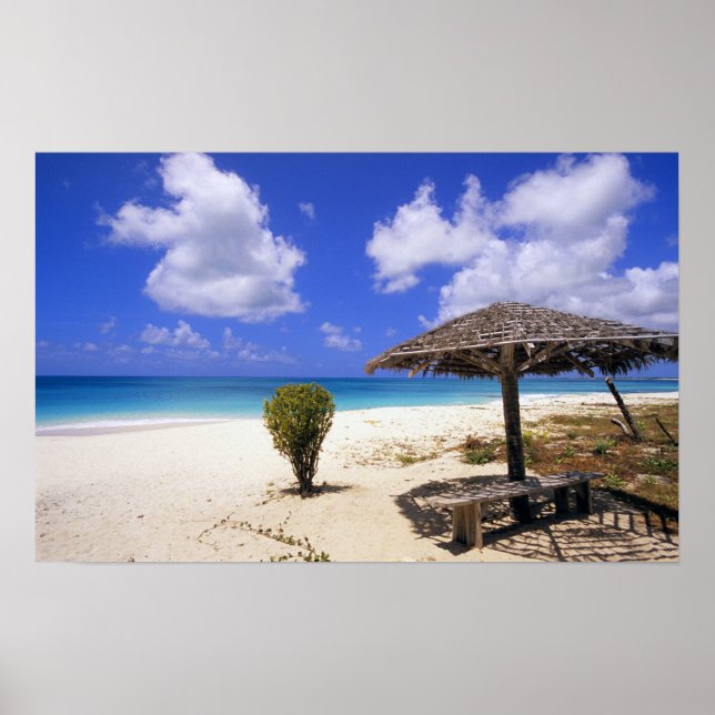 Coco Point Beach, Barbuda, Antigua Poster (Front)