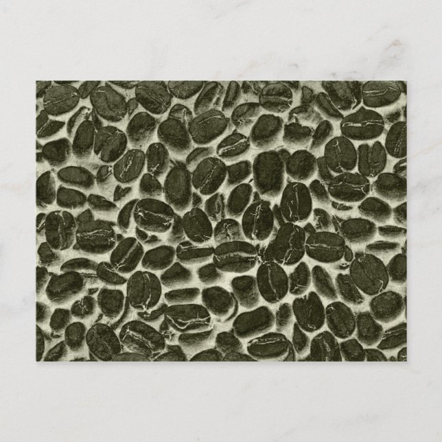 cocoa coffee beans postcard (Front)