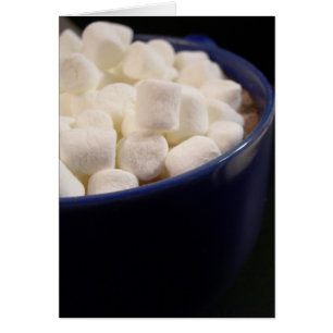 Cocoa Comfort
