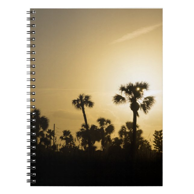 Cocoa Palm Silhouette Notebook (Front)