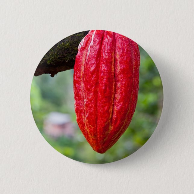 cocoa pod red 2 inch round button (Front)