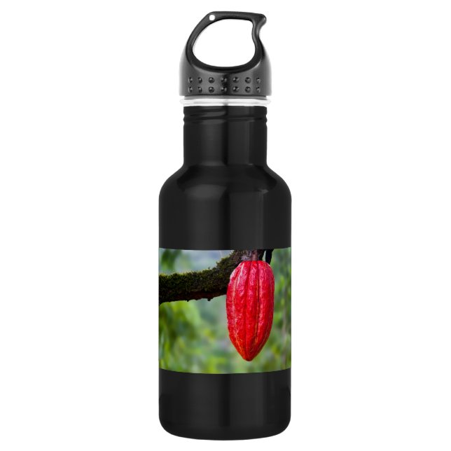 cocoa pod red 532 ml water bottle (Front)