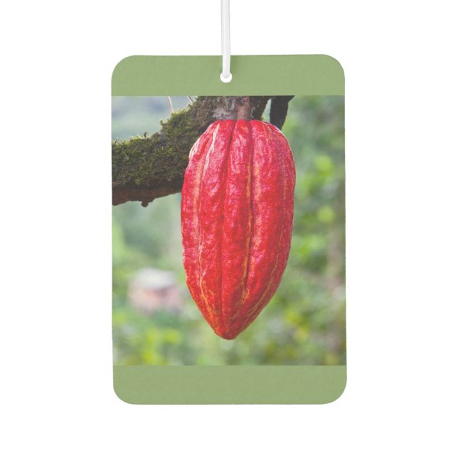 cocoa pod red air freshener (Front)