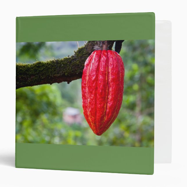cocoa pod red binder (Front/Inside)