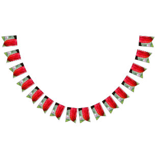 cocoa pod red bunting flags