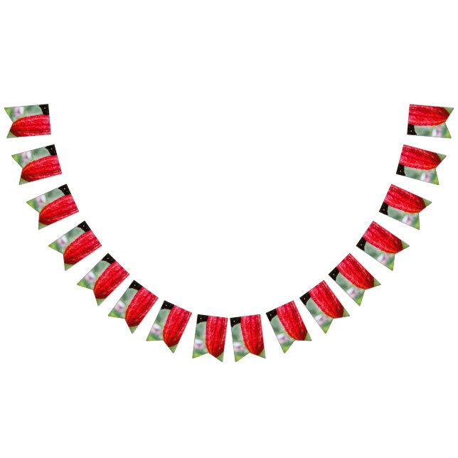 cocoa pod red bunting flags (All)