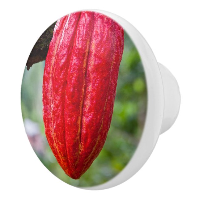 cocoa pod red ceramic knob (Right)