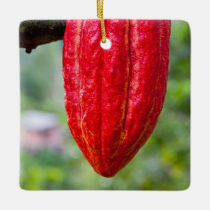 cocoa pod red ceramic ornament