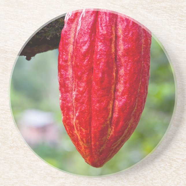 cocoa pod red coaster (Front)