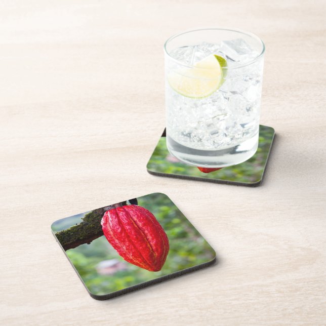 cocoa pod red coaster (Right Side)