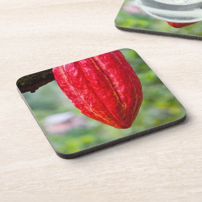 cocoa pod red coaster (Left Side)
