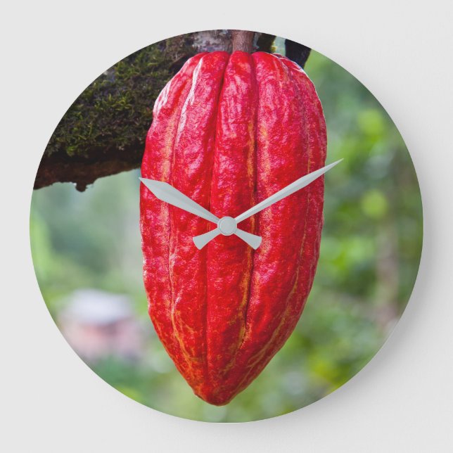 cocoa pod red large clock (Front)